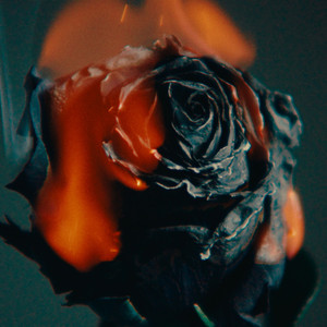 ❌❌❌❌日本人大
