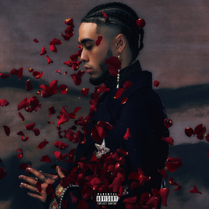 桥本香菜在线观看视频
