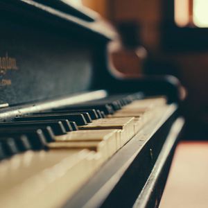 桥本香菜在线观看视频
