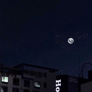 桥本香菜在线观看视频
