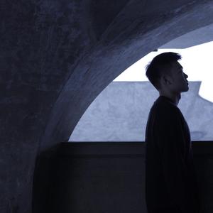 刘涛明星人脸替换脸
